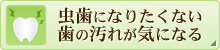 虫歯になりたくない歯の汚れが気になる